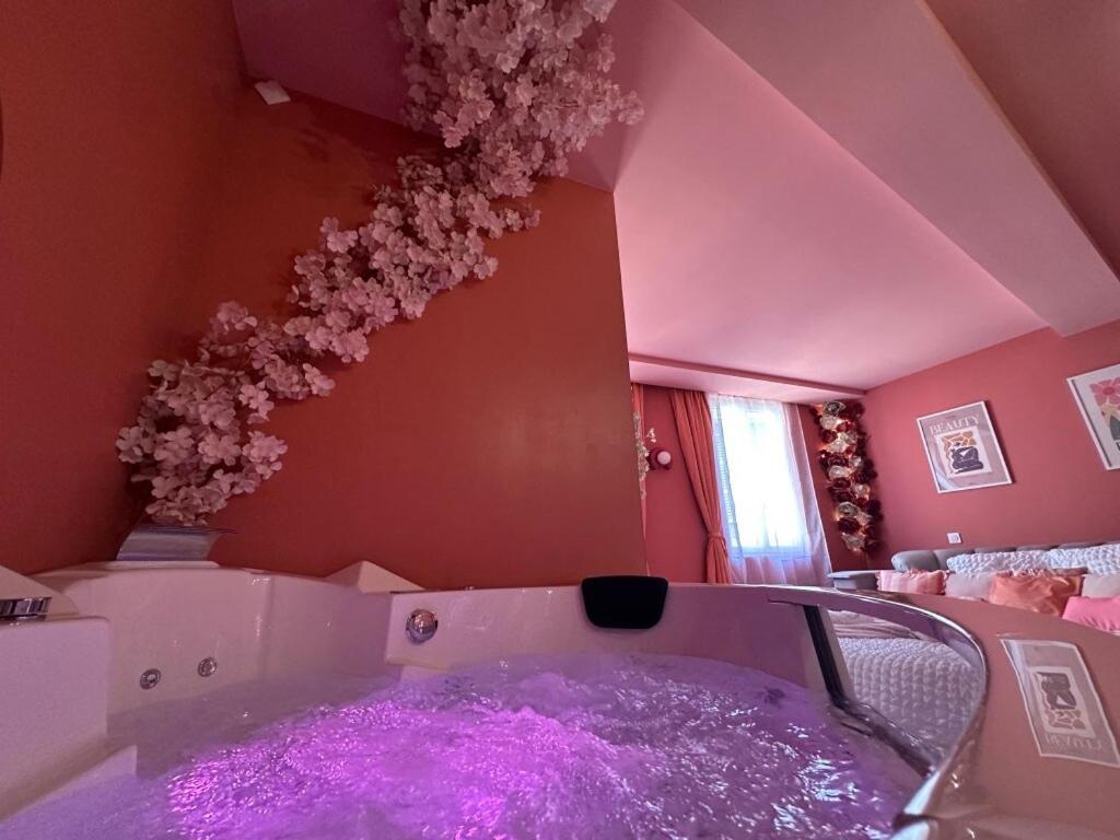 Le Love-room, Jacuzzi, Hyper-centre *
